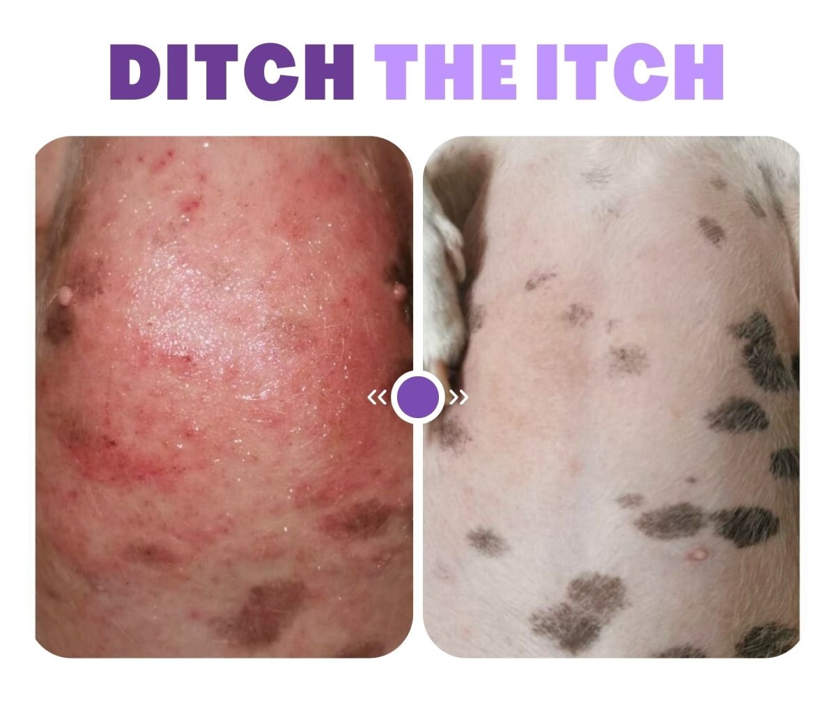 Natural Canine Care | Superior - Joint & Skin Solution For Dogs