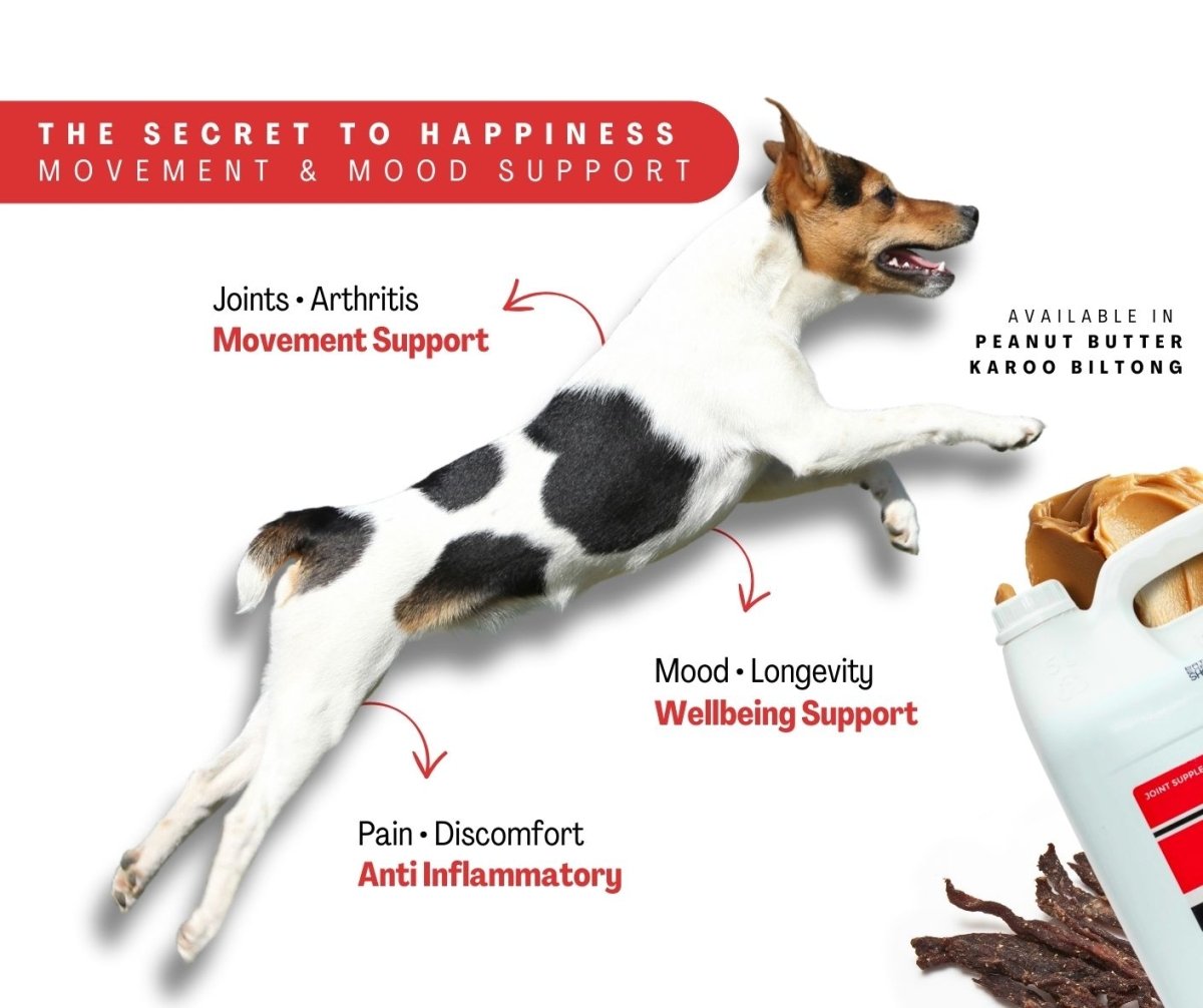 Flexcare & Doggymin (Joint & Skin Support For Dogs)