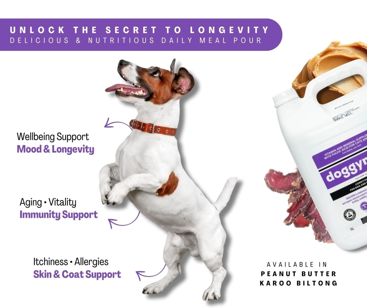 Flexcare & Doggymin (Joint & Skin Support For Dogs)