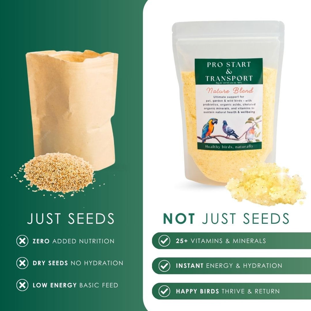 Nutrition Feed Blend (Supplement Feed for All Birds & Poultry)