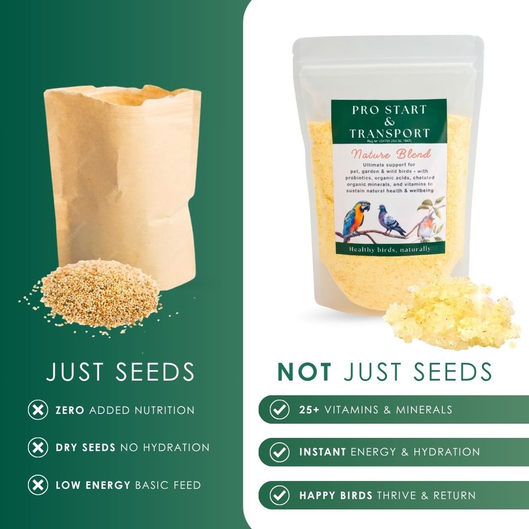 Pro Start Nature Blend (25+ Nutrients for Pet & Garden Birds)