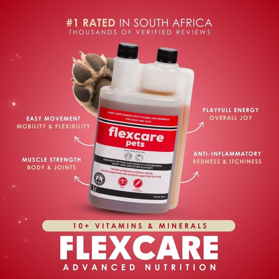 FlexCare & Moody Master (Movement & Calmness Support for Dogs)
