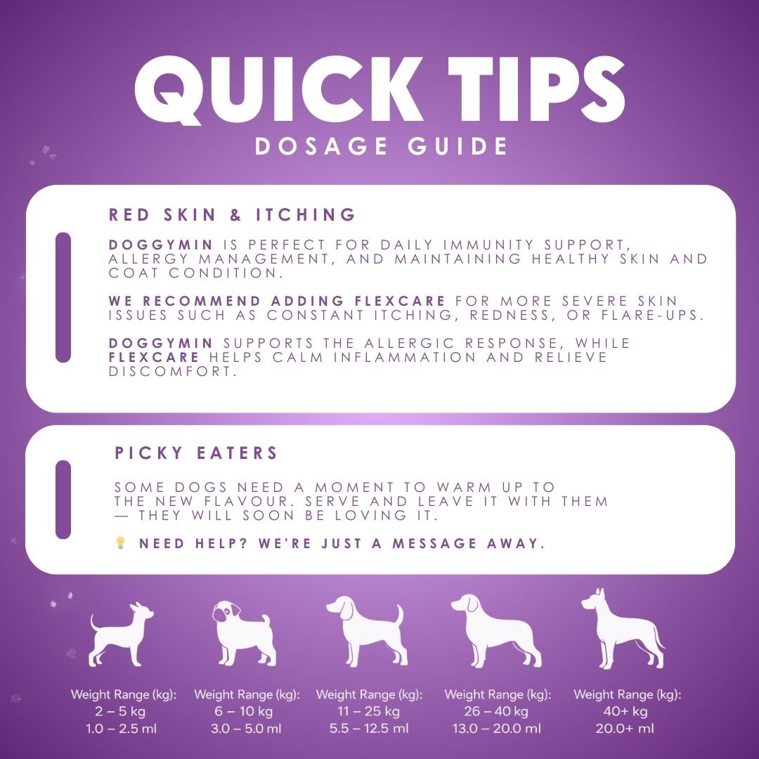 Doggymin (Skin & Immunity Support For Dogs)