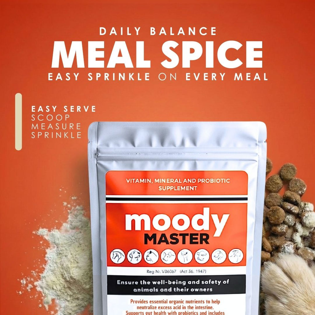 DoggyMin & Moody Master (Wellness & Calmness Support for Dogs)
