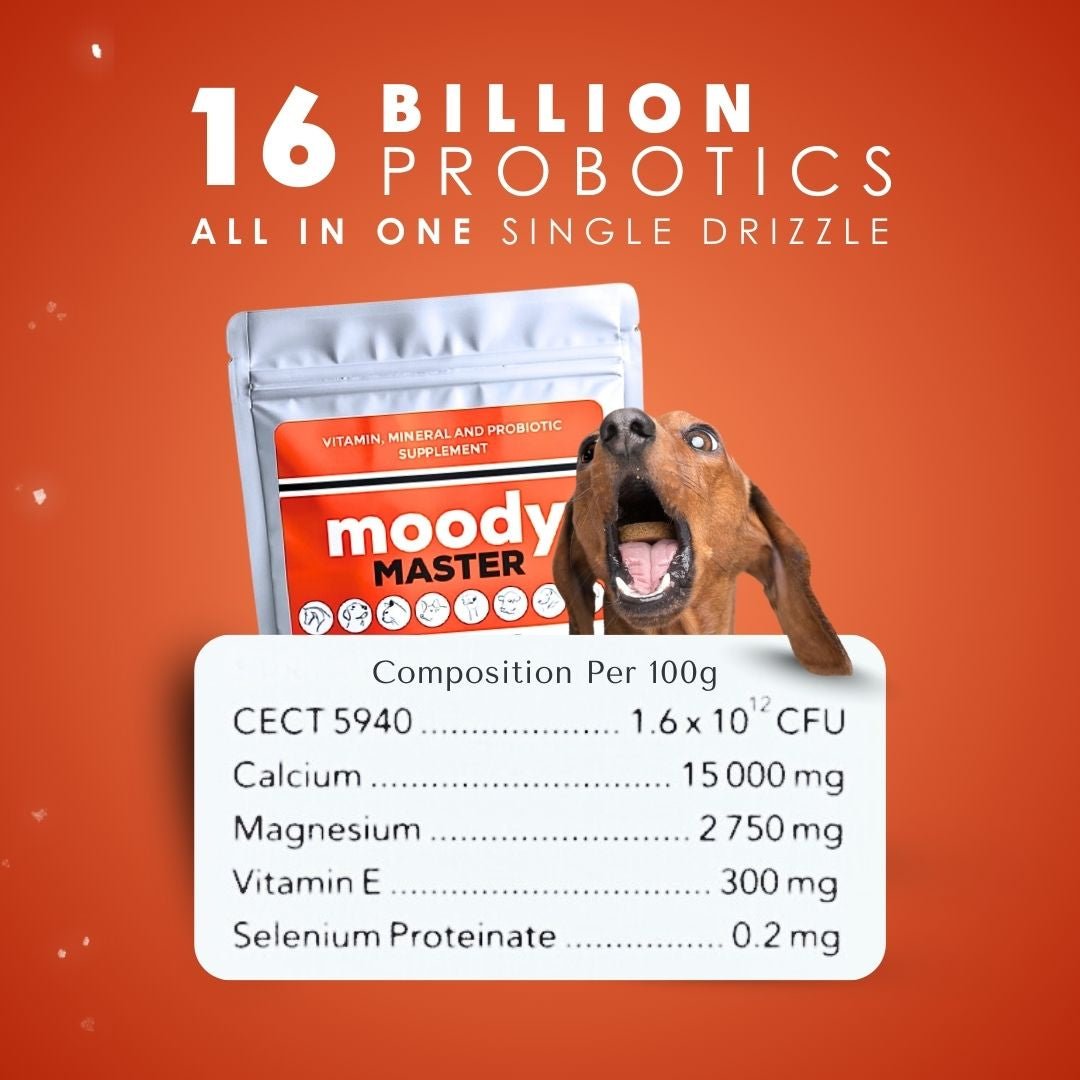 FlexCare & Moody Master (Movement & Calmness Support for Dogs)