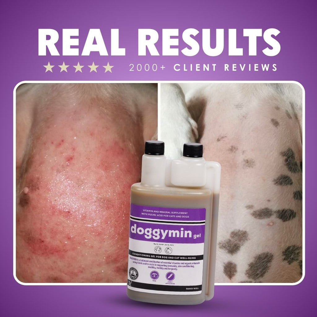 Natural Canine Care | DoggyMin - Skin & Immune Support for Dogs