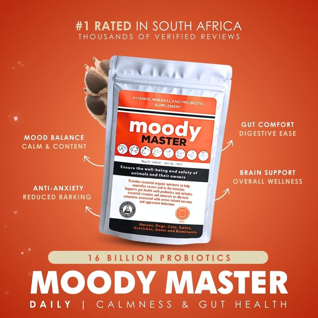 Moody Master (Stress, Anxiety & Mood Support for Cats & Dogs)