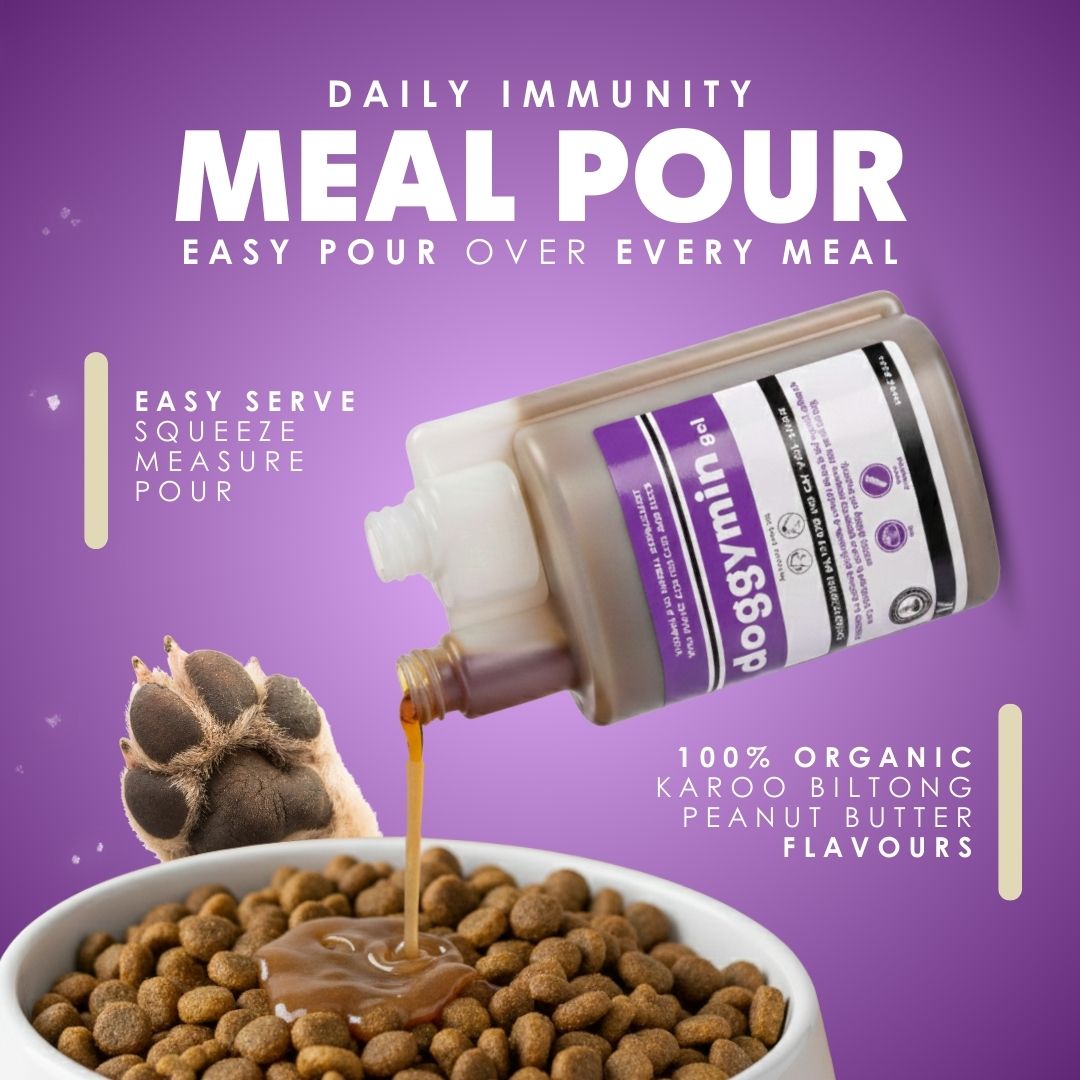 DoggyMin & Moody Master (Wellness & Calmness Support for Dogs)