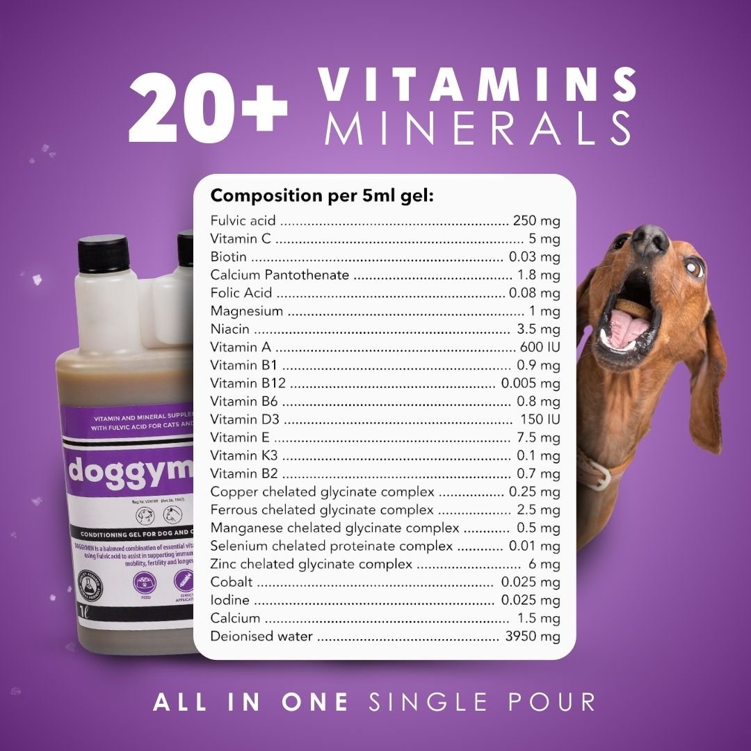 DoggyMin & Moody Master (Wellness & Calmness Support for Dogs)