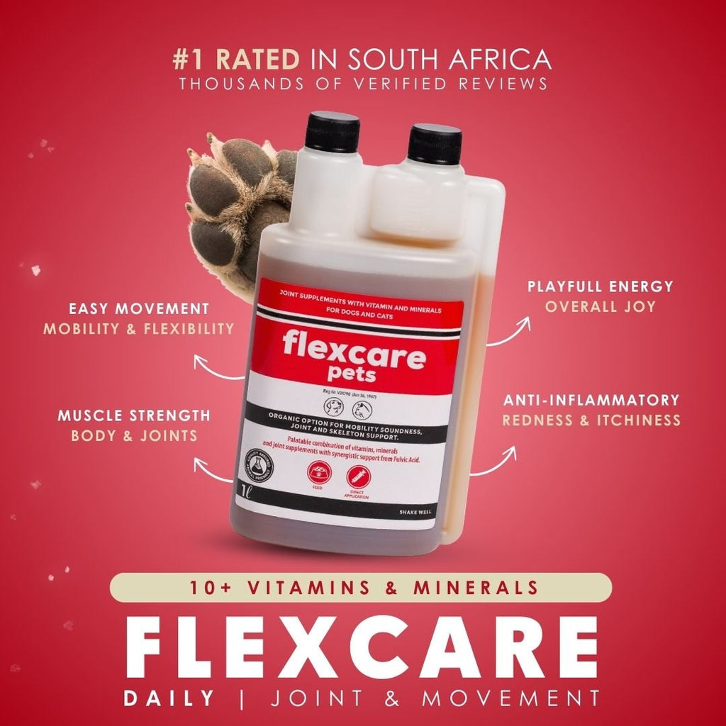 FlexCare (Joint & Movement Support For Dogs)