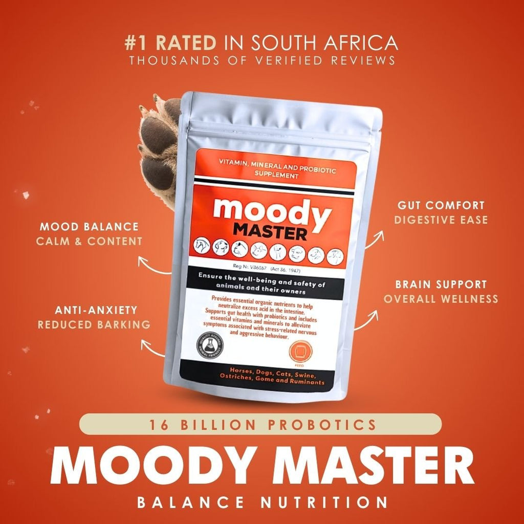 DoggyMin & Moody Master (Wellness & Calmness Support for Dogs)