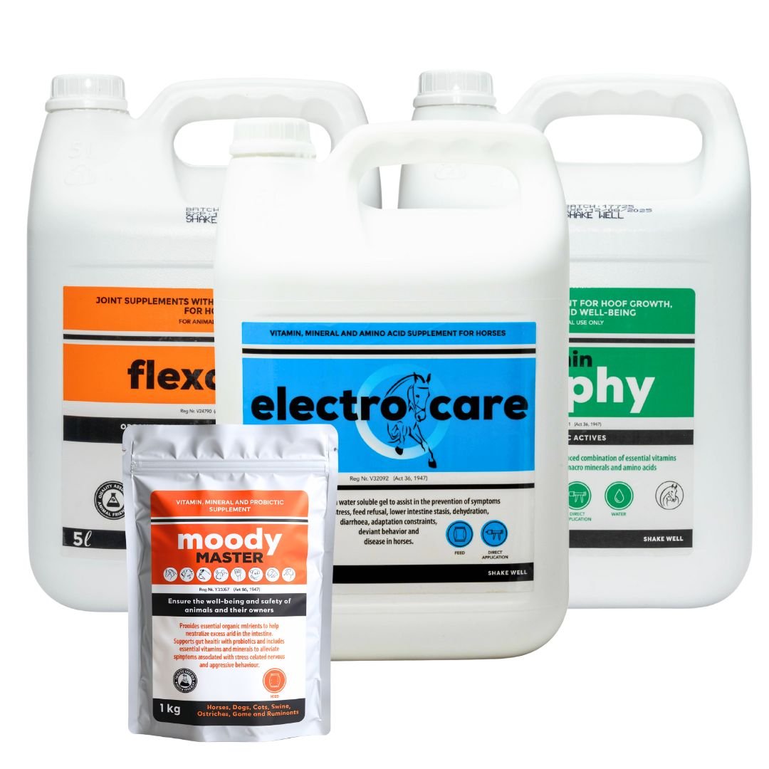 Ultimate Equine Care Combo (Daily Vitality, Mobility, Recovery & Calmness)
