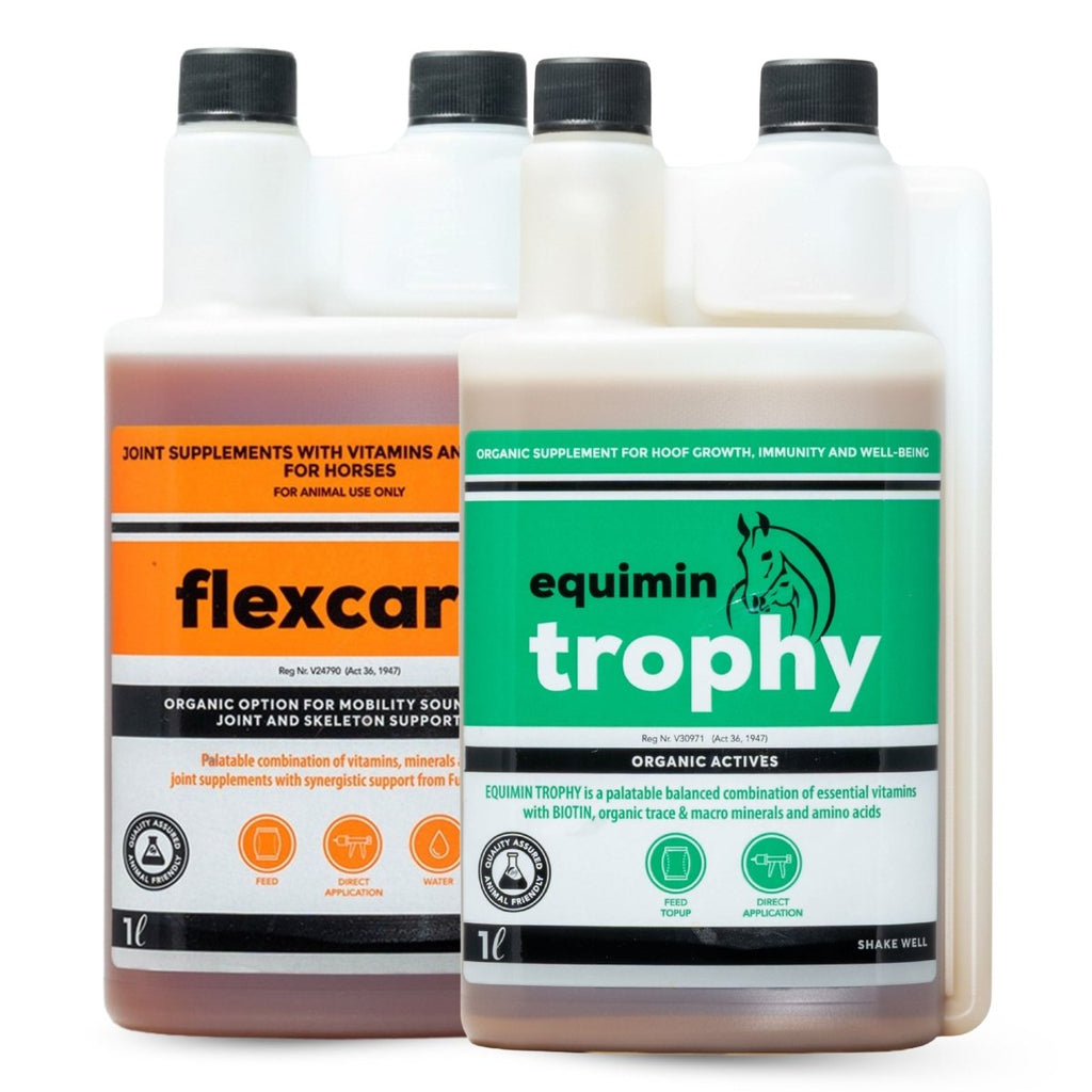 Essential Equine Care Combo (Daily Vitality & Mobility)