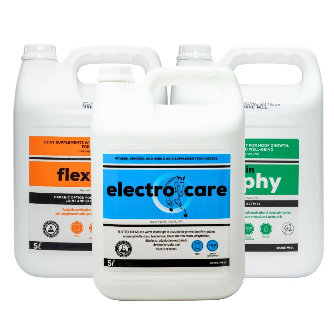 Advanced Equine Care Combo (Daily Vitality, Mobility & Recovery)